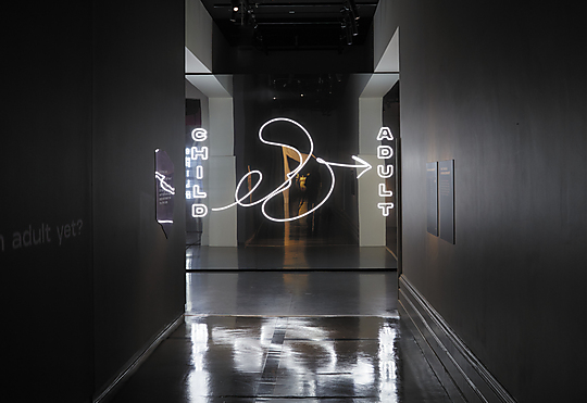 Interior photograph of Becoming You exhibition by Benjamin Healley | Source: Museums Victoria